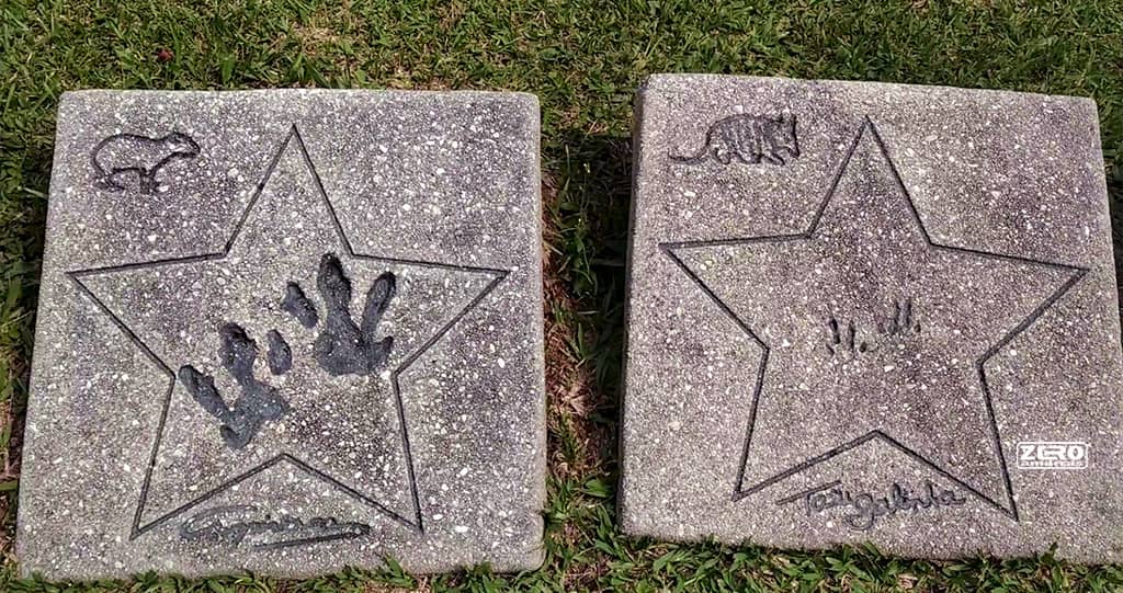 Calçada da Fauna