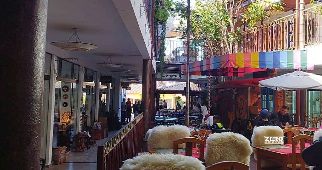 Galeria Bichinho
